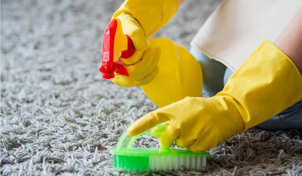 Cleaners in Idledale CO