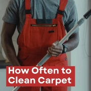 How Often To Clean Carpet