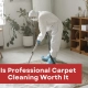 Is Professional Carpet Cleaning Worth It